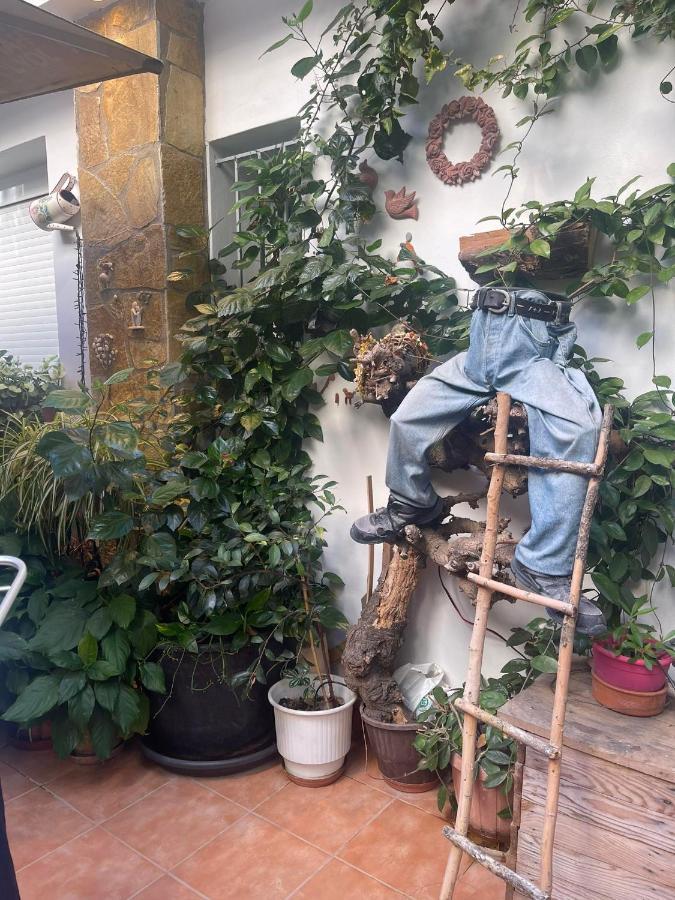 Appartamento Eleonora'S Hidden Gem Atene Esterno foto