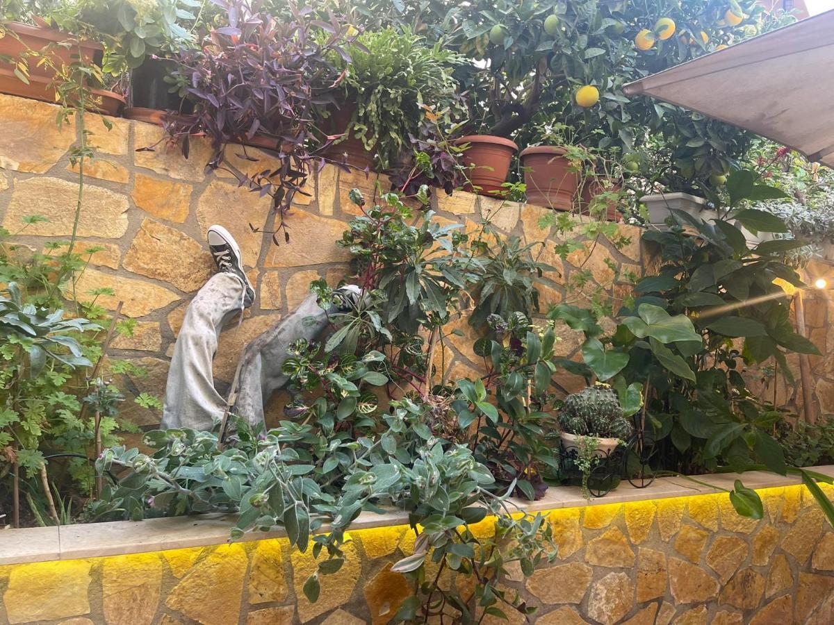 Appartamento Eleonora'S Hidden Gem Atene Esterno foto